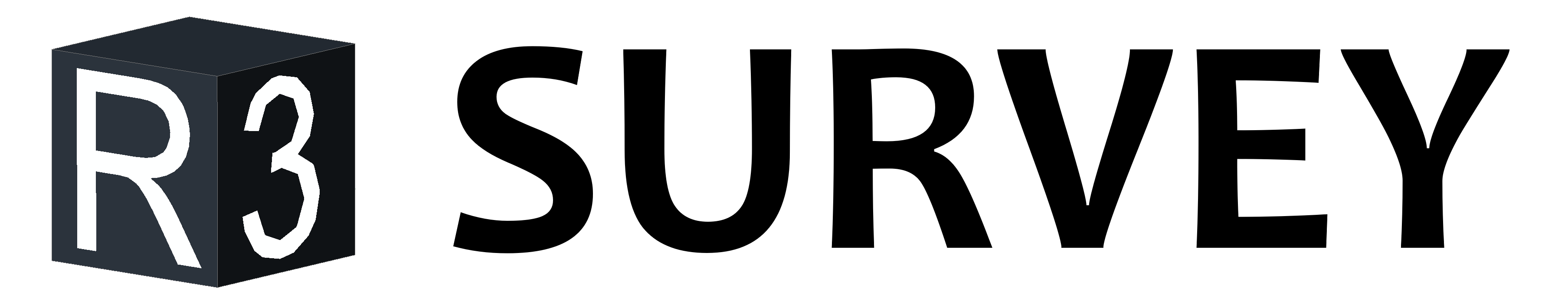 R3Survey
